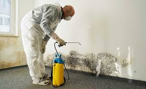 Best Emergency Mold Remediation  in Martins Additions, MD