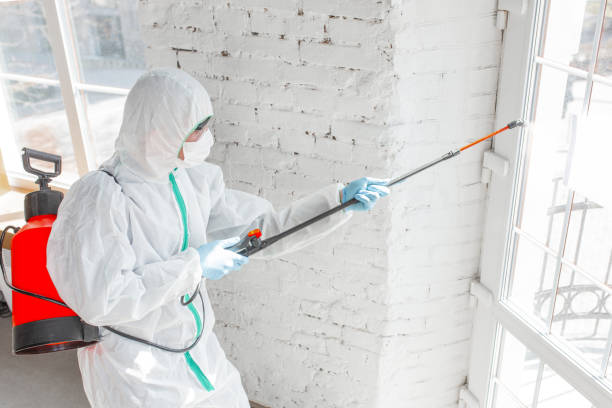 Best Mold Odor Removal Services  in Martins Additions, MD