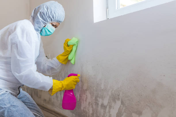 Best Commercial Mold Inspection  in Martins Additions, MD