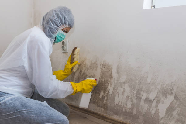 Best Water Damage & Mold Remediation  in Martins Additions, MD