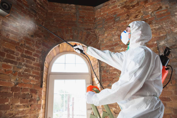 Best Mold Damage Restoration  in Martins Additions, MD